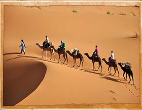 Morocco private tours